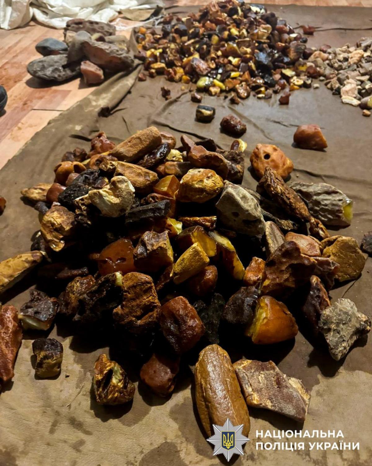 На Рівненщині викрили організаторів бурштинового бізнесу: вилучили каміння на 2 мільйони гривень