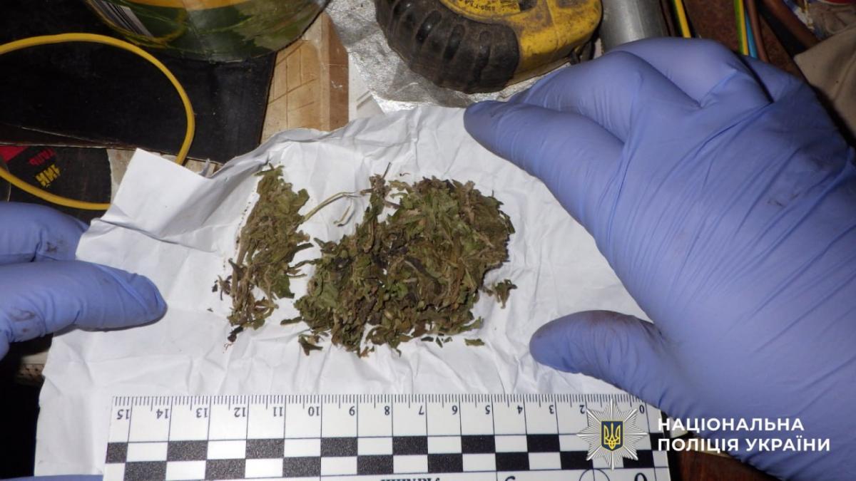 Метамфетамін, марихуана і метадон: на Рівненщині засудили трьох дилерів