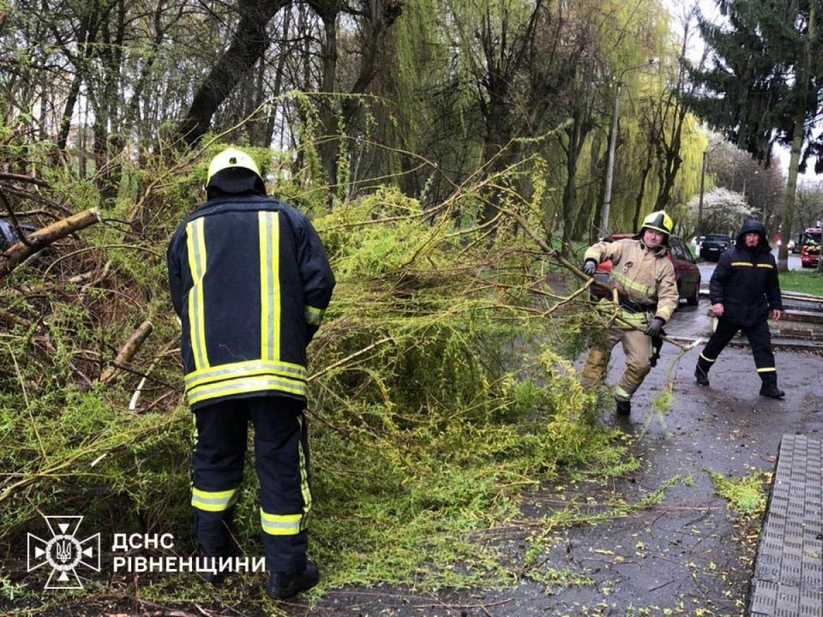 У Рівному рятувальники прибрали повалене дерево з дороги