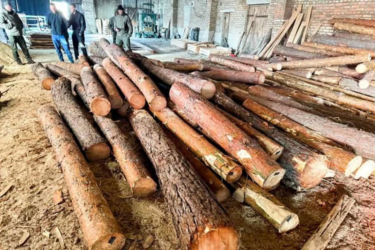 Незаконна порубка лісу та опір поліцейським: на Володимиреччині затримали зловмисника (ФОТО)