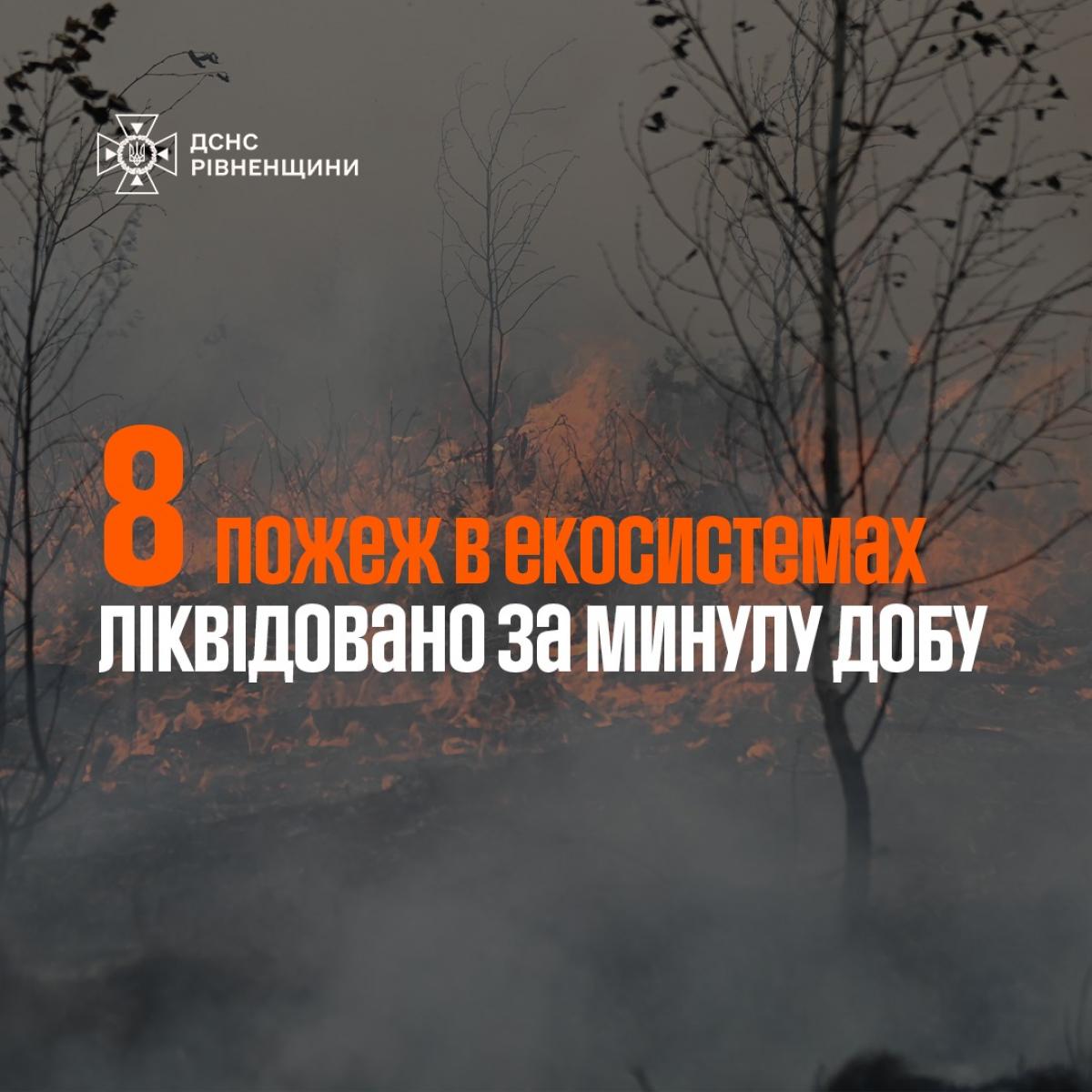 На Рівненщині за добу вигоріло 3,6 гектарів сухої трави через пожежі в екосистемах