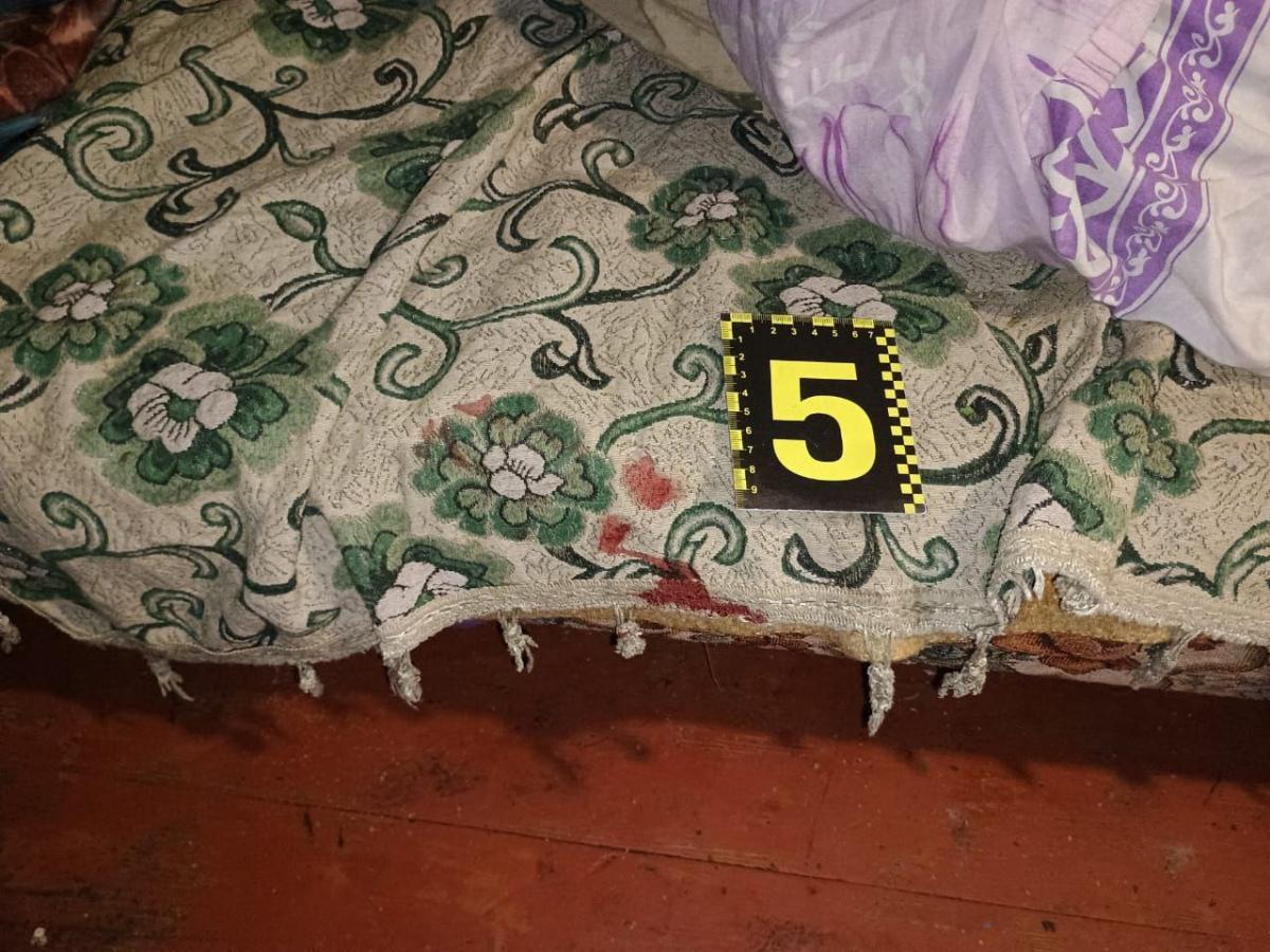 Житель Сарненщини проведи 5 років у в`язниці за ножове поранення батьку