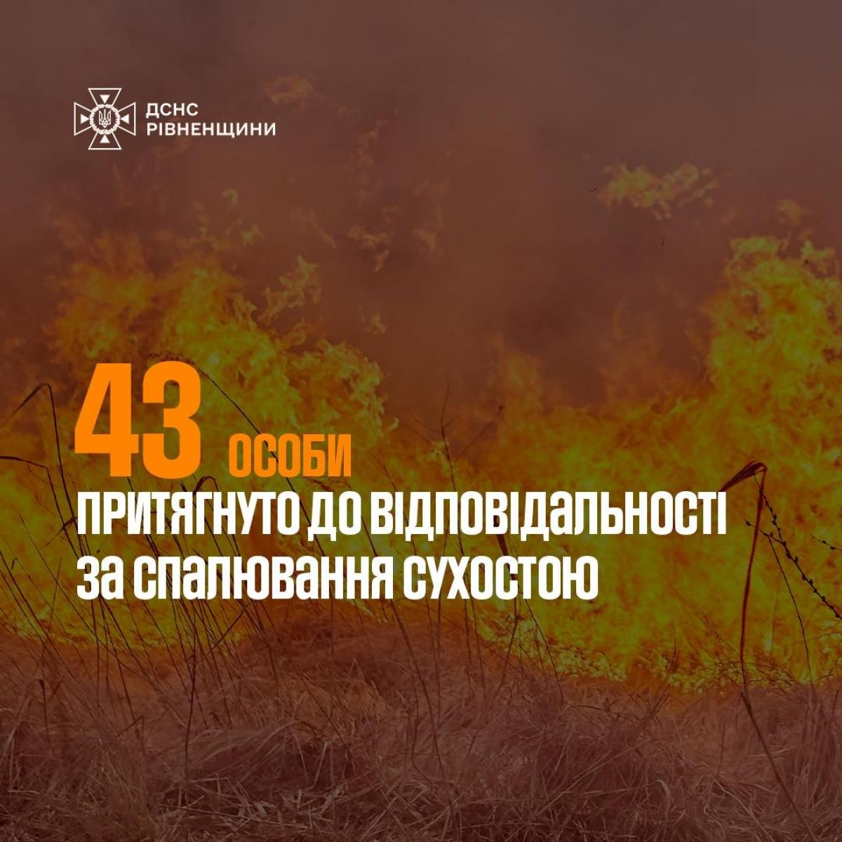 Весняні підпали на Рівненщині: десятки порушників вже оштрафували