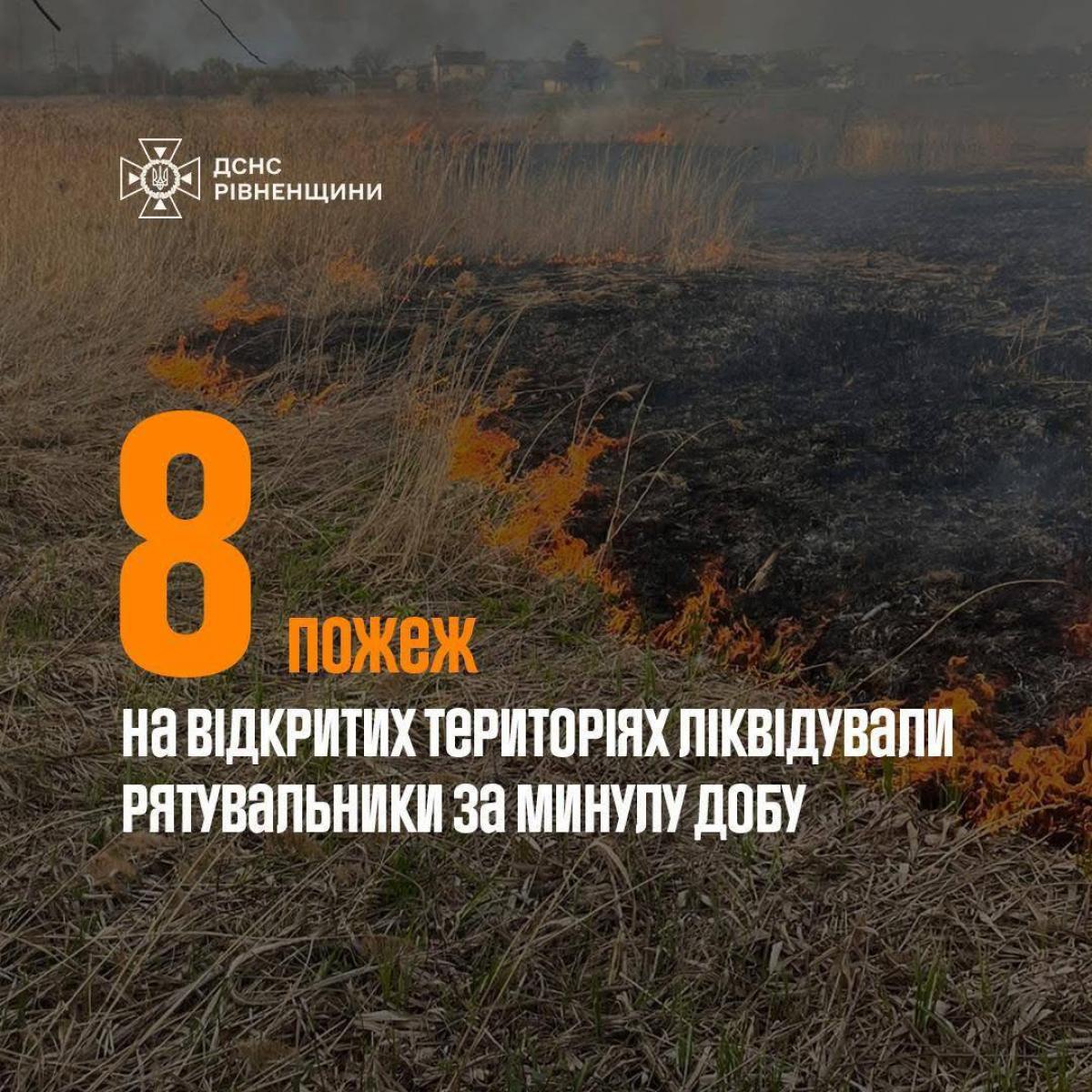 На Рівненщині за добу ліквідували 8 пожеж в екосистемах