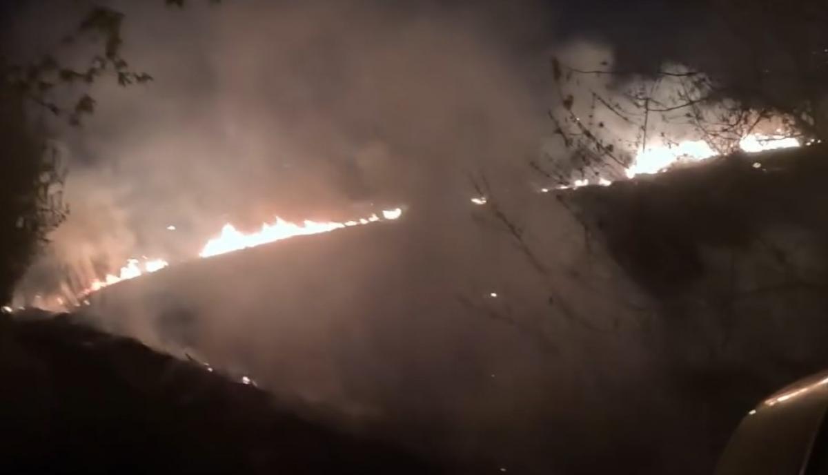 6,4 гектари попелу за одну добу: на Рівненщині продовжують палити екосистеми (ВІДЕО)