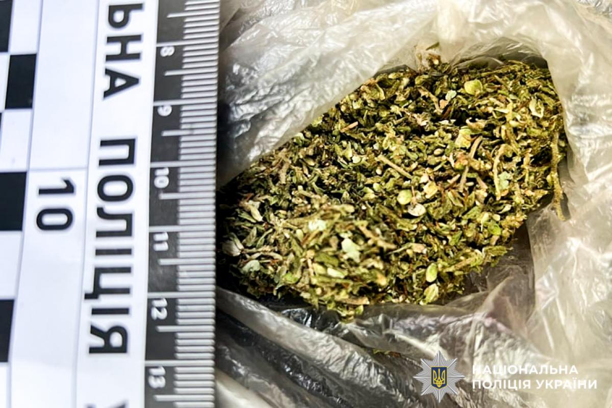 Повторне зберігання наркотиків: мешканця Клеваня засудили до понад року ув’язнення