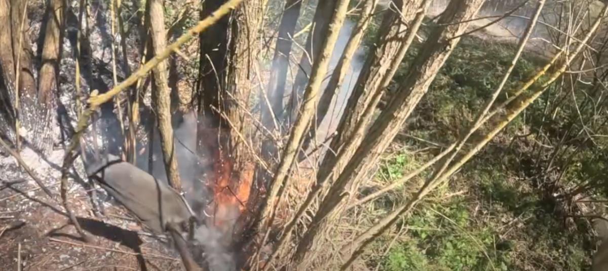 За добу на Рівненщині вигоріло понад 4,6 гектара сухої трави