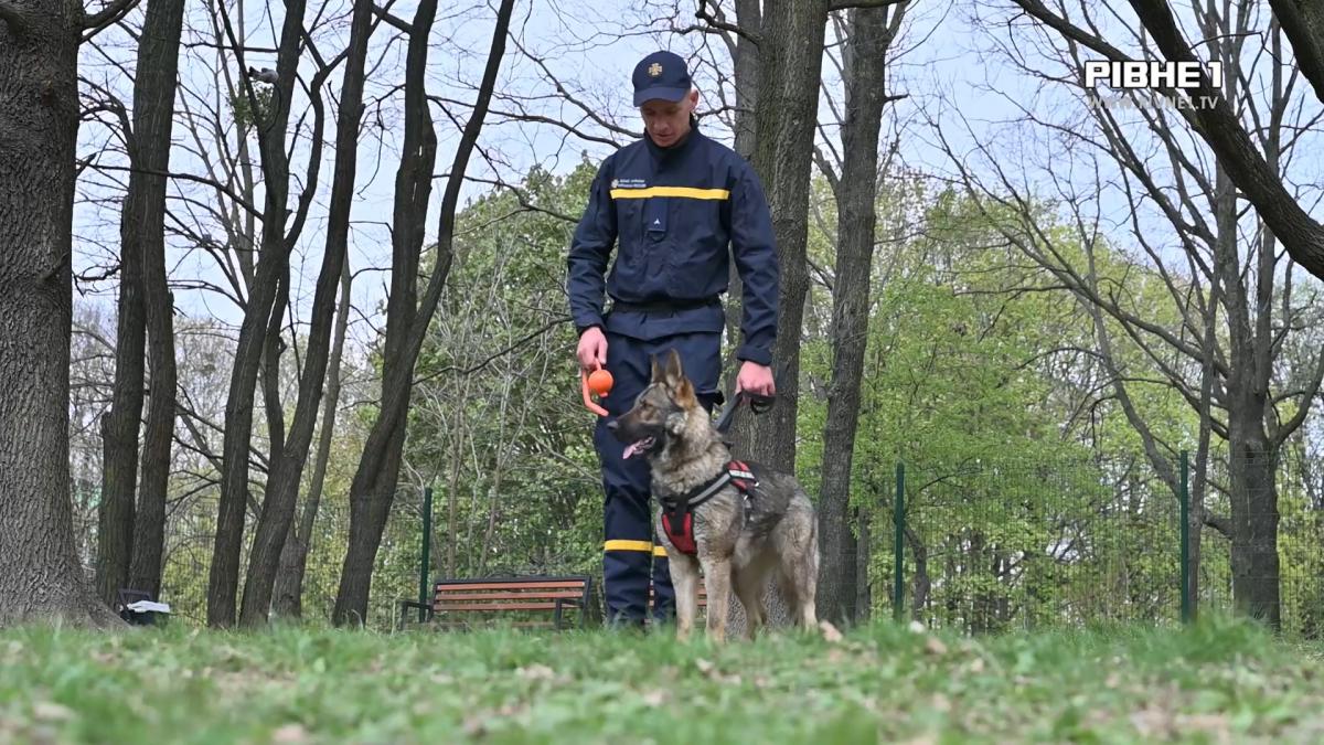 Луна та Нагайна: в ГУ ДСНС Рівненщини з`явилися нові хвостаті працівники (ВІДЕО)