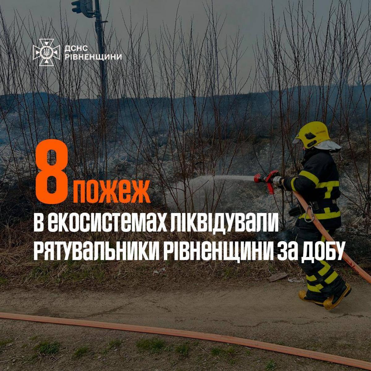 За добу на Рівенщині трапилося 8 пожеж в екосистемах 