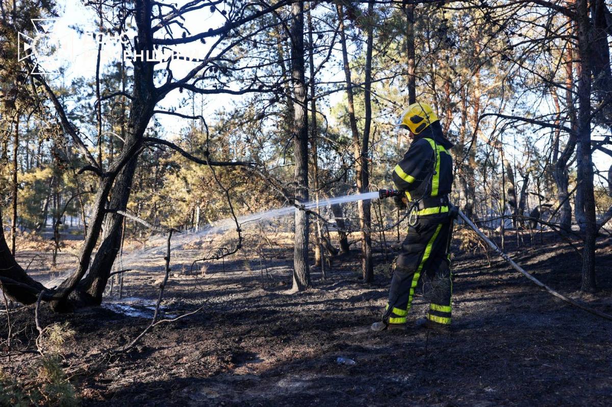 На Сарненщині ліквідували масштабну пожежу сухостою