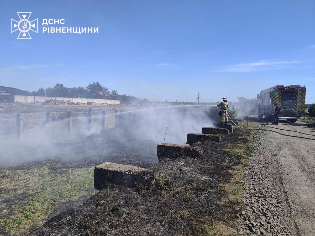 На Рівненщині за добу ліквідували 13 пожеж у природних екосистемах