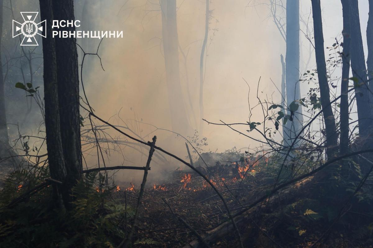 На Сарненщині локалізували масштабну пожежу поблизу Більська