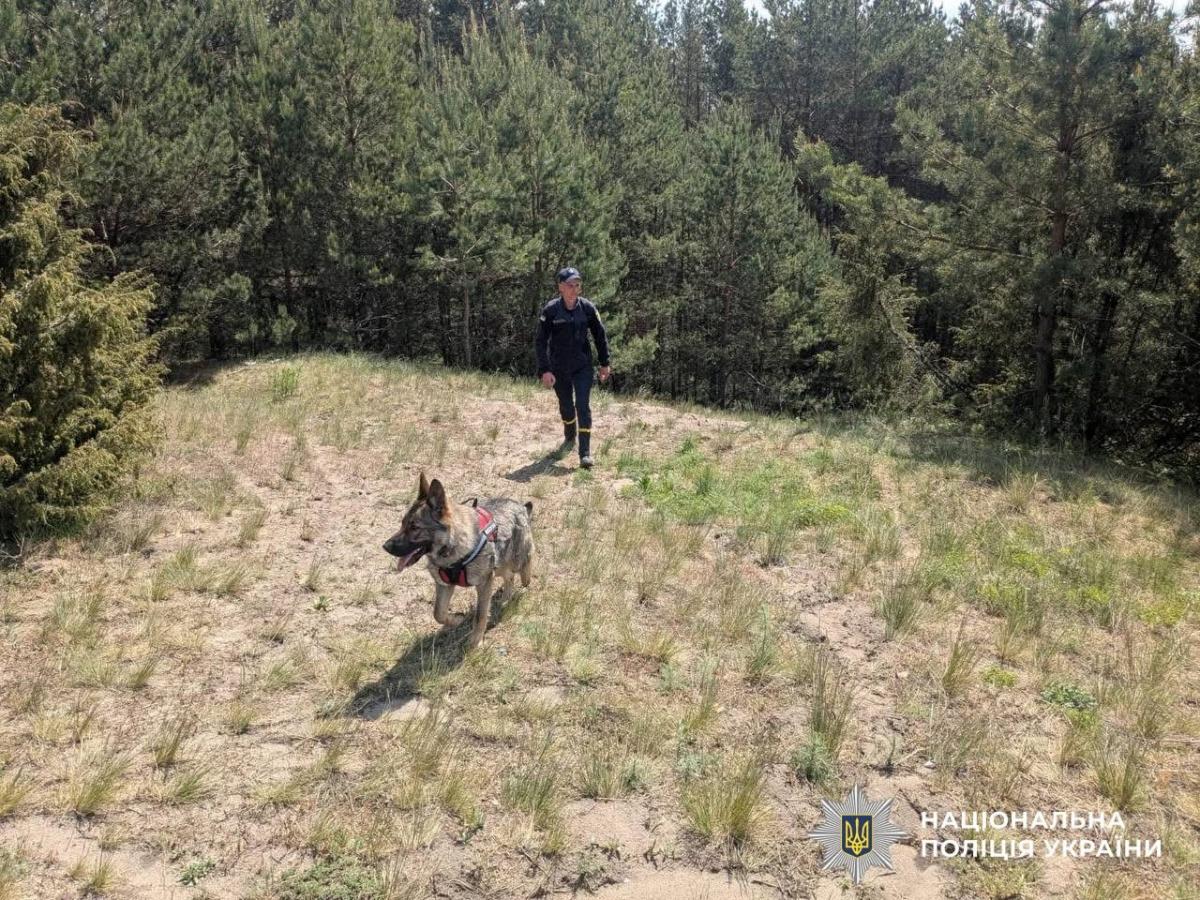 Три доби блукав у лісі: у Вараші розшукали 78-річного зниклого чоловіка