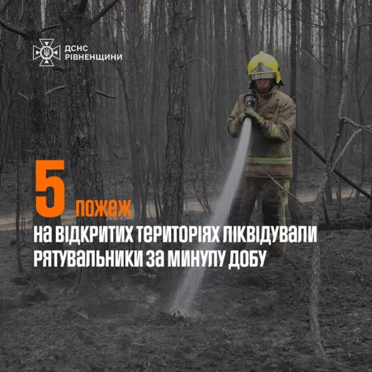 На Рівненщині вигоріло понад 2,6 гектара сухостою: рятувальники п’ять разів гасили пожежі в екосистемах
