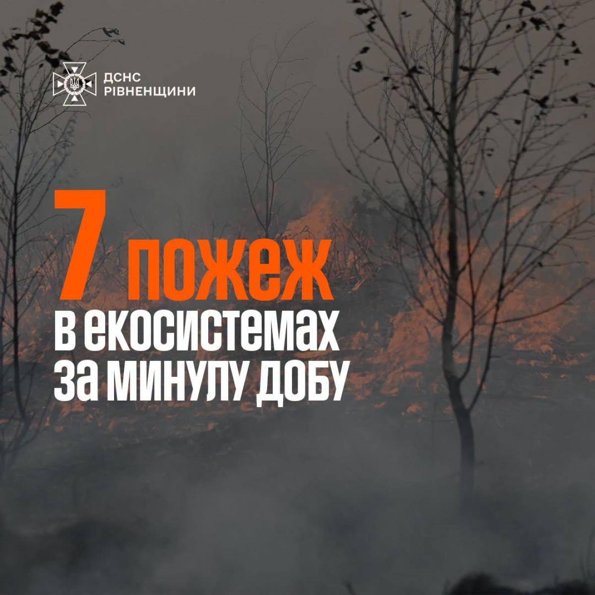 За добу на Рівненщині ліквідували сім пожеж в екосистемах