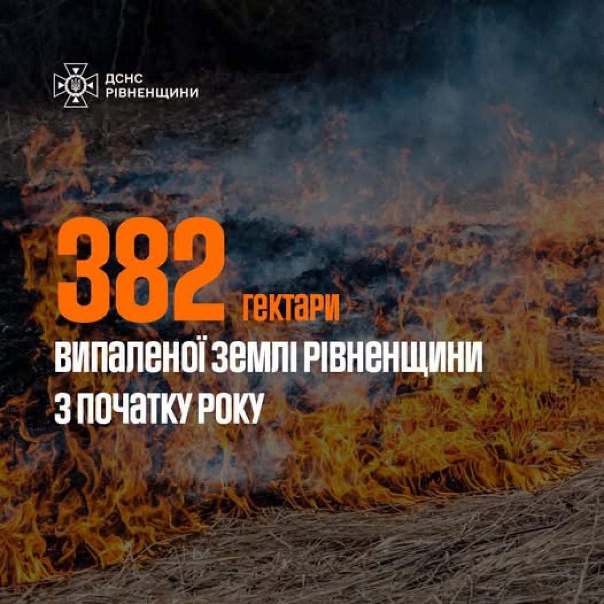 На Рівненщині з початку року сталося понад 650 пожеж в екосистемах