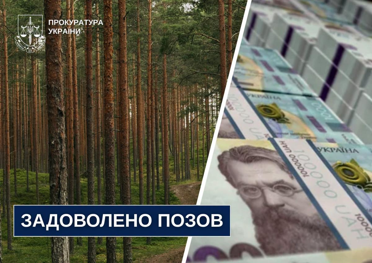 За незаконну вирубку 119 сосен на Рівненщині лісокористувач відшкодує майже мільйон гривень