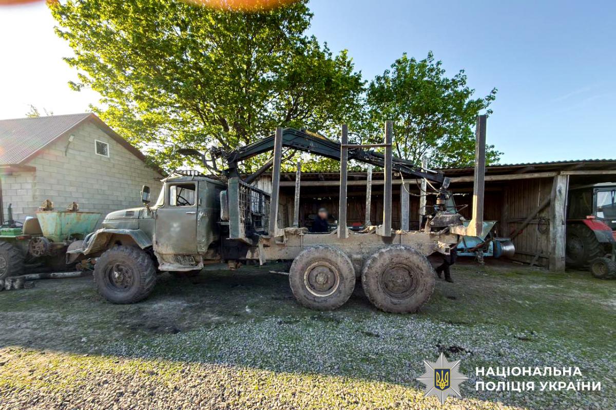 На Рівненщині викрили незаконну вирубку сосен у заказнику: збитки перевищили 2,5 мільйона гривень