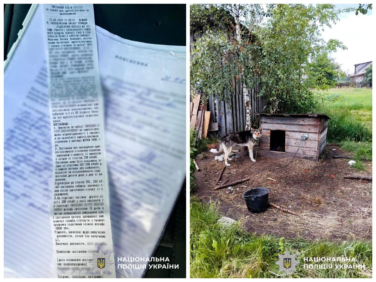 На Рокитнівщині оштрафували чоловіка, який побив собаку на ланцюгу