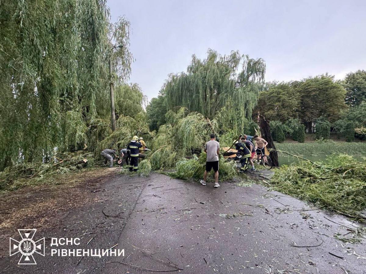 Негода на Рівненщині: рятувальники двічі прибирали повалені дерева з доріг