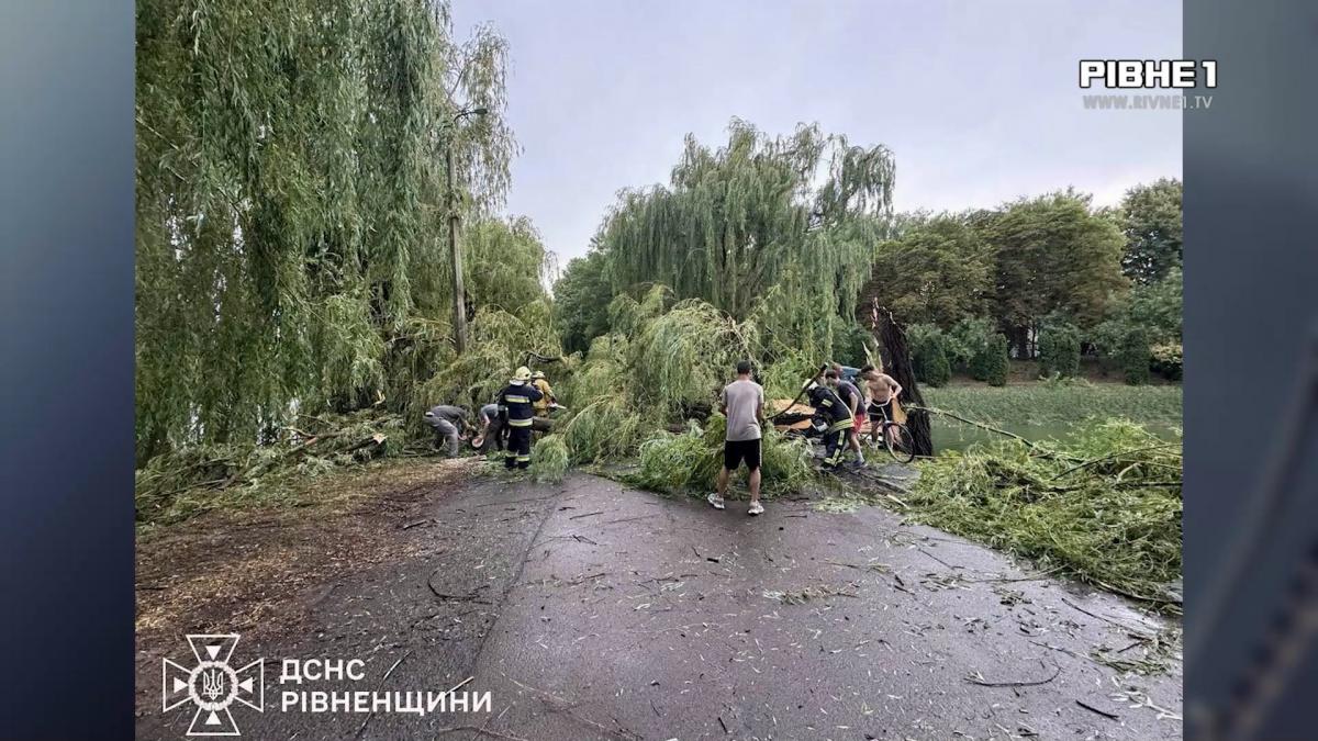 Позривала дахи та повалила дерева: наслідки негоди, яка напередодні прокотилася Рівненщиною (ВІДЕО)