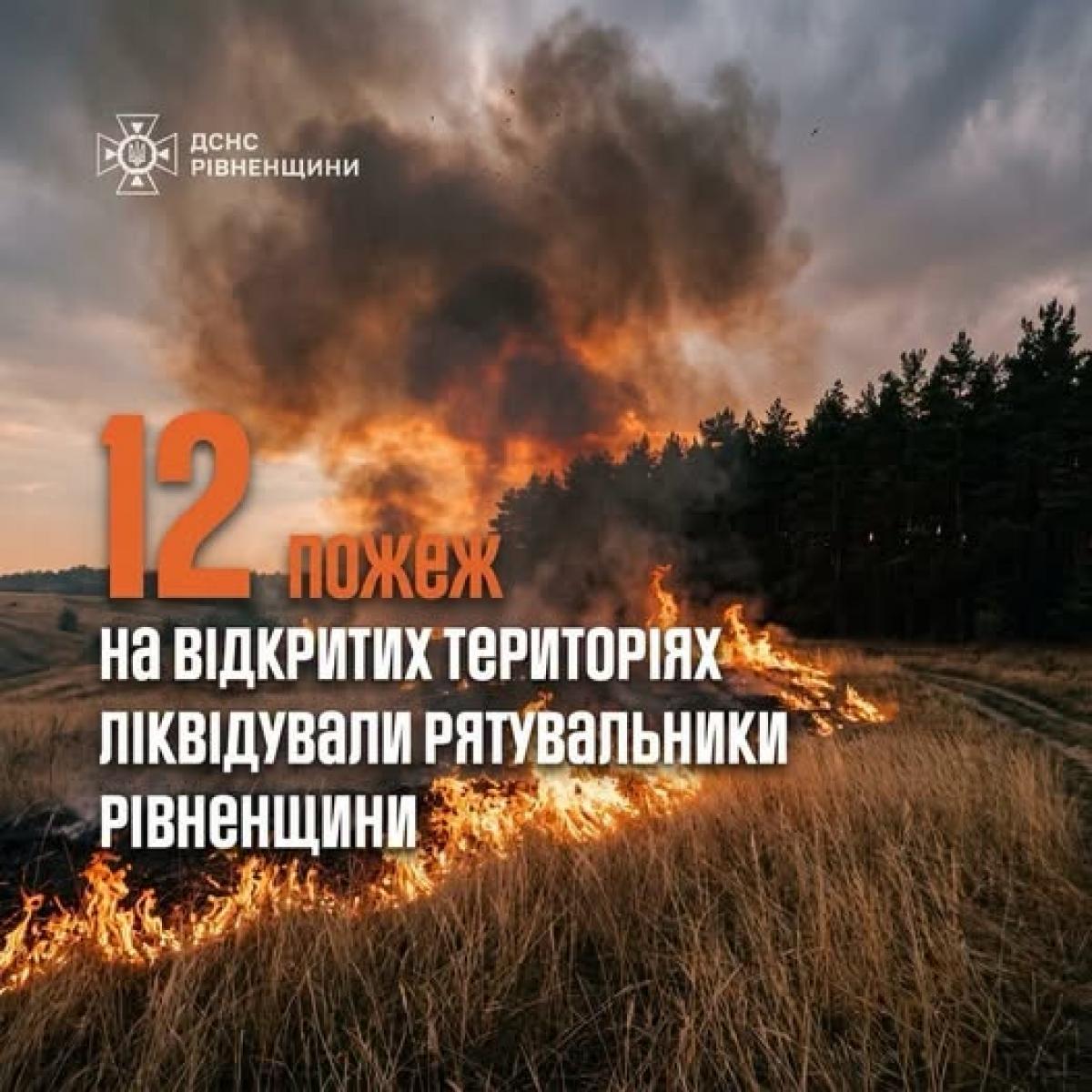 На Рівненщині за добу сталося 12 пожеж в екосистемах: вигоріло близько 6 гектарів сухостою