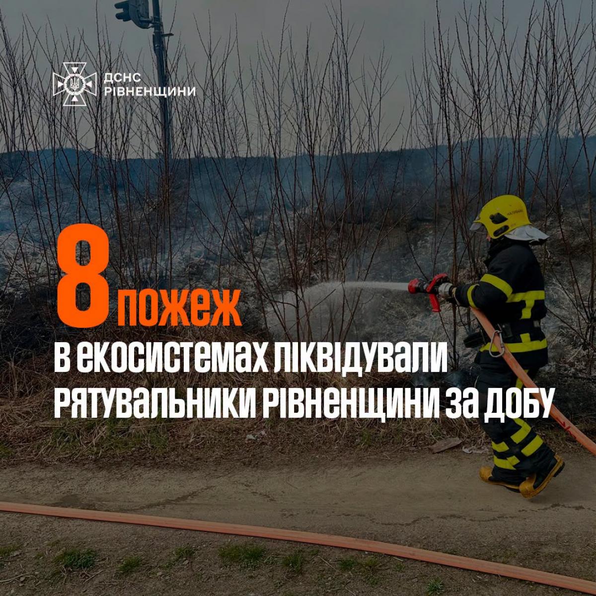 Горіли суха трава й торф: на Рівненщині за добу ліквідували вісім пожеж