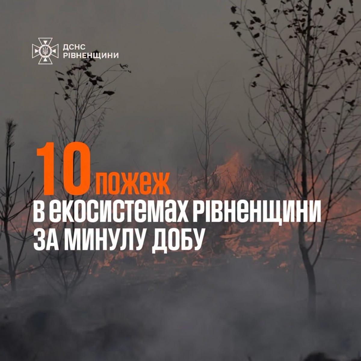 На Рівненщині за добу сталося 10 пожеж в екосистемах: вигоріло понад два гектари землі