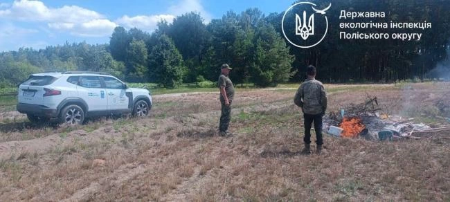 На Рівненщині виявили порушення під час заготівлі чорниці