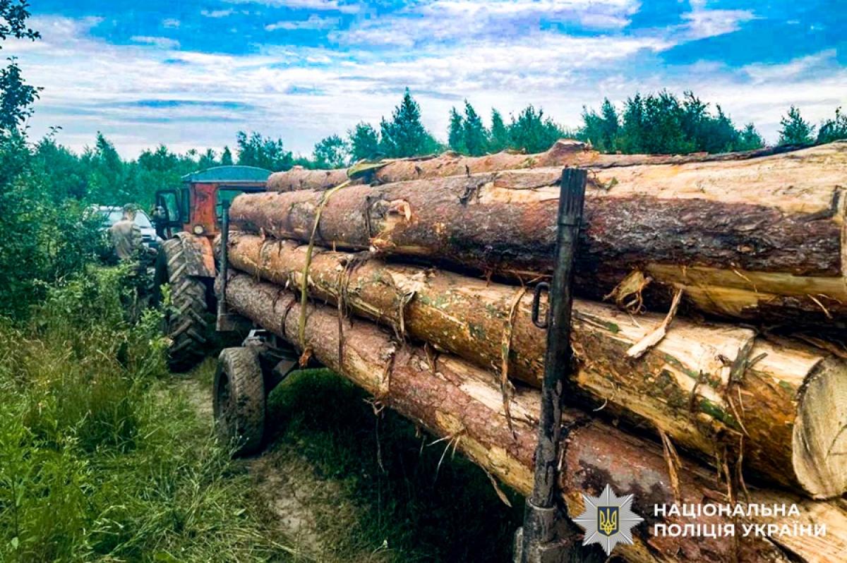 На Рівненщині 24-річний чоловік незаконно зрубав сосни