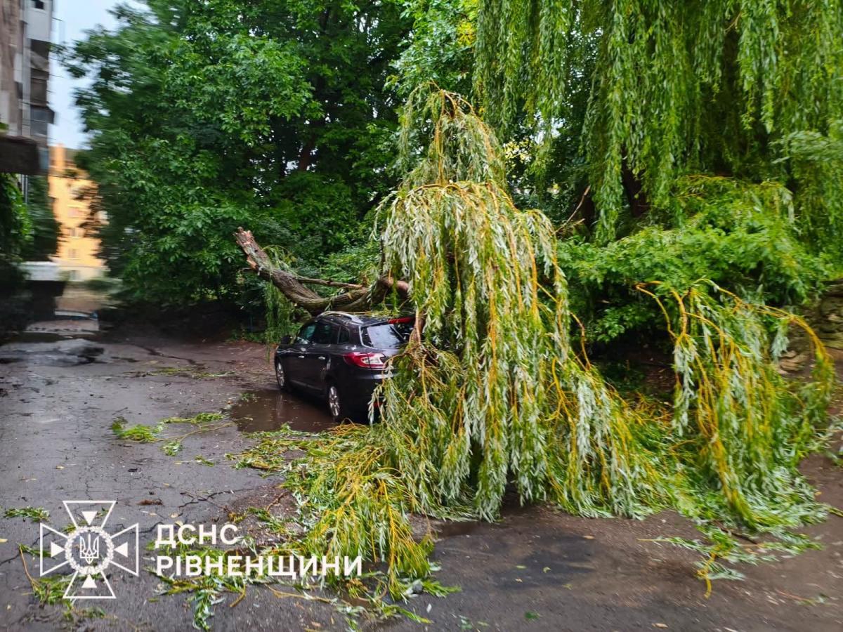 У Дубні дерево впало на легковик: рятувальники ліквідували наслідки негоди