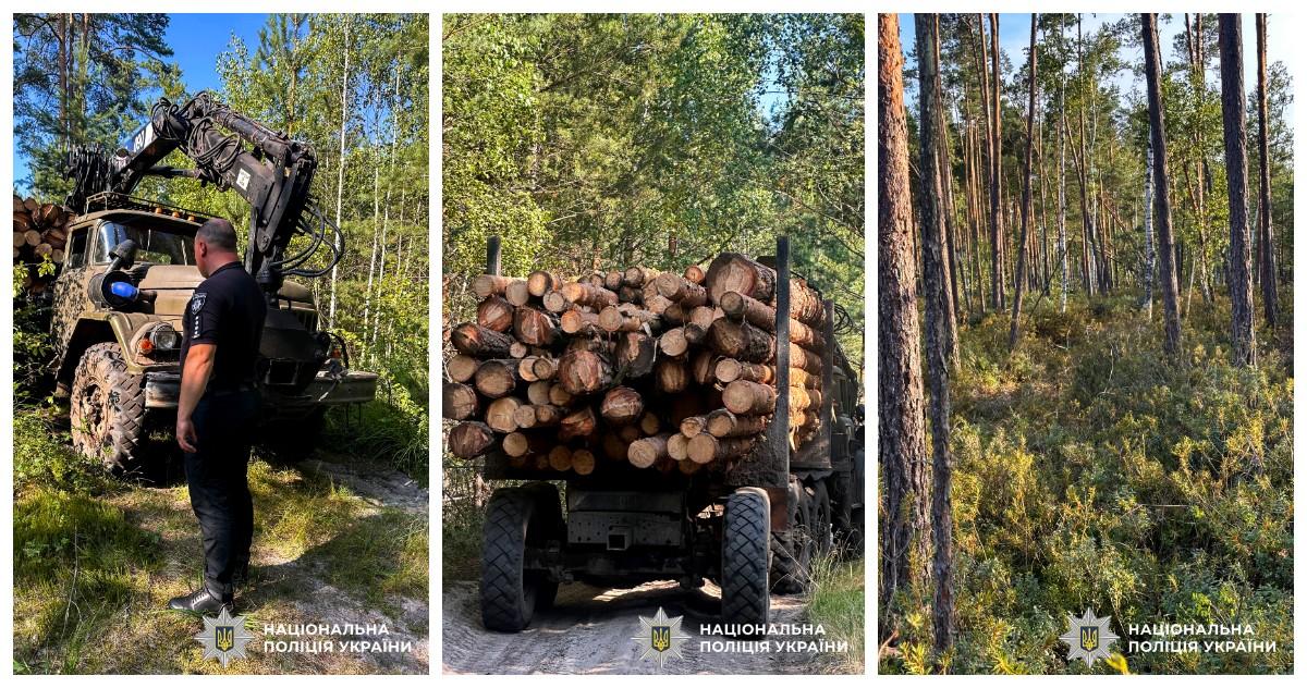 У жителя Рівненщини вилучили вантажівку з незаконно зрубленою деревиною