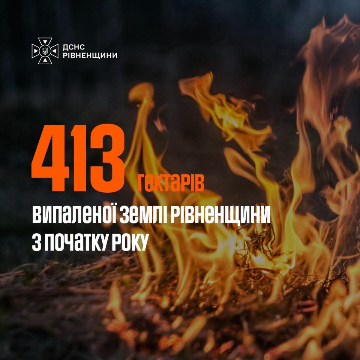 Через підпали сухостою на Рівненщині вже сталося майже 800 пожеж