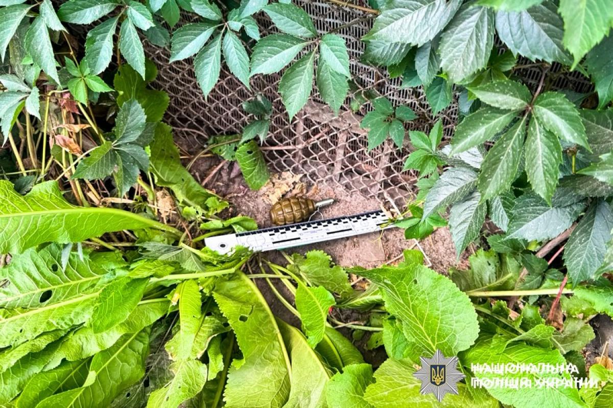 Домашнє насильство та граната: на Рівненщині затримали 44-річного чоловіка
