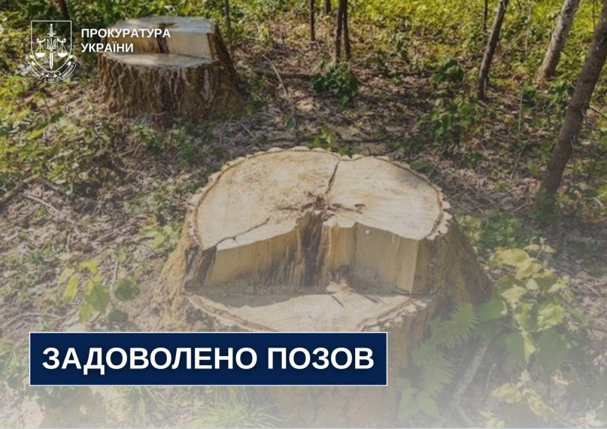 На Рівненщині лісгосп має відшкодувати 428 тисяч гривень за незаконну вирубку лісу
